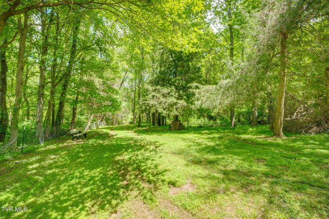 490 Cockatiel Road, Limestone, TN 37681