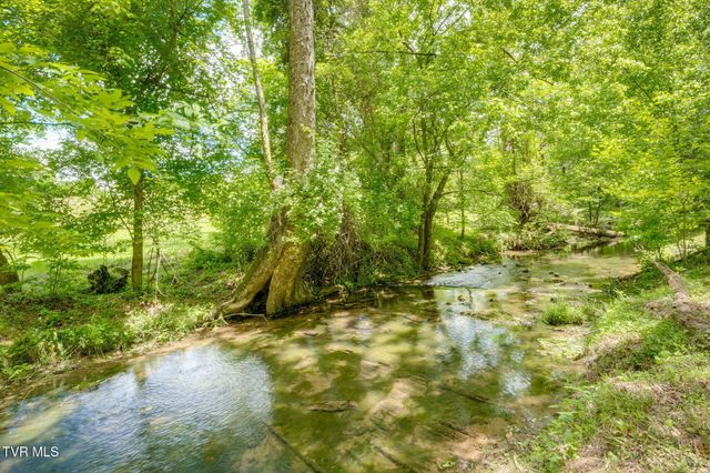 490 Cockatiel Road, Limestone, TN 37681