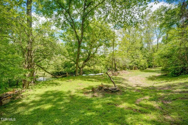 490 Cockatiel Road, Limestone, TN 37681