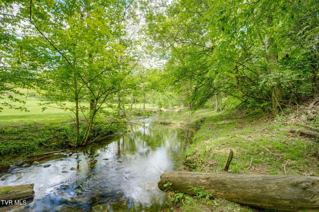 490 Cockatiel Road, Limestone, TN 37681