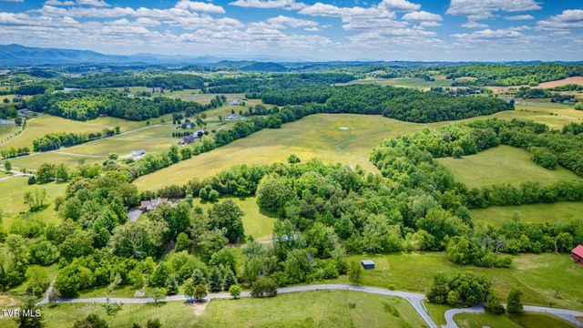 490 Cockatiel Road, Limestone, TN 37681