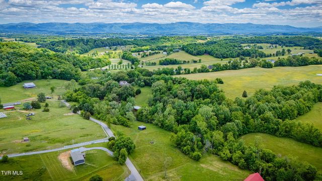 490 Cockatiel Road, Limestone, TN 37681