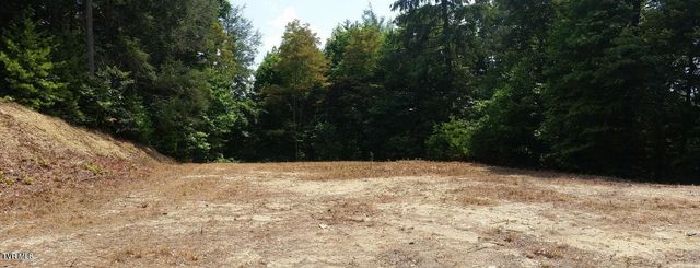 Tbd Heartwood Lane, Butler, TN 37640