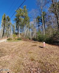 Tbd Heartwood Lane, Butler, TN 37640