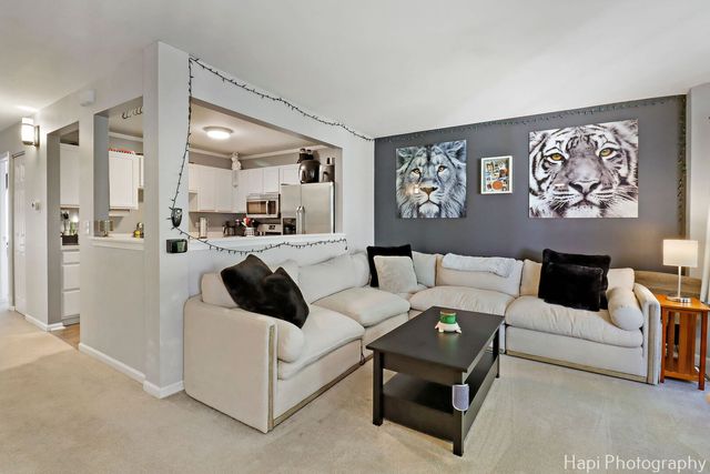 337 W Treehouse Lane 11-2, Round Lake, IL 60073