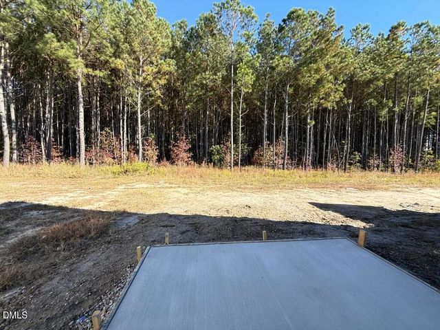 4521 Sweet Williams Lane, Wilson, NC 27896