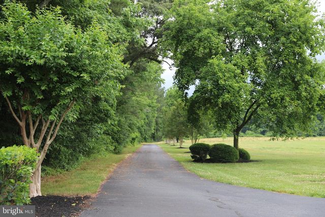 6445 60 FOOT RD, Pittsville, MD 21850