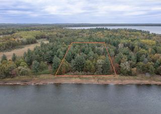 TBD Harriet Lake Trail NW, Ponto Lake Twp, MN 56435