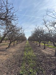 30953 Avenue 20 1/2, Madera, CA 93638