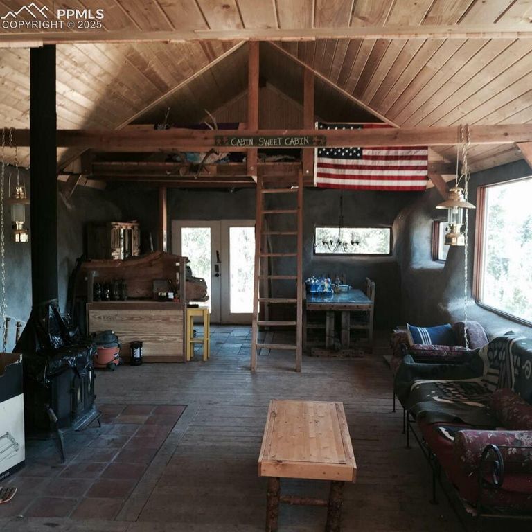 1434 Blue Mesa Drive, Divide, CO 80814 — photo 5