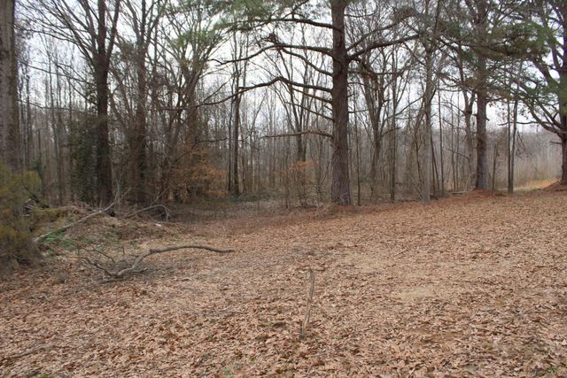 1535 SAND FORD RD, Henning, TN 38041