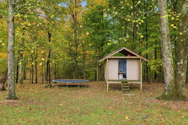 1036 Cherry Springs Dr, Cottontown, TN 37048