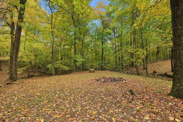 1036 Cherry Springs Dr, Cottontown, TN 37048