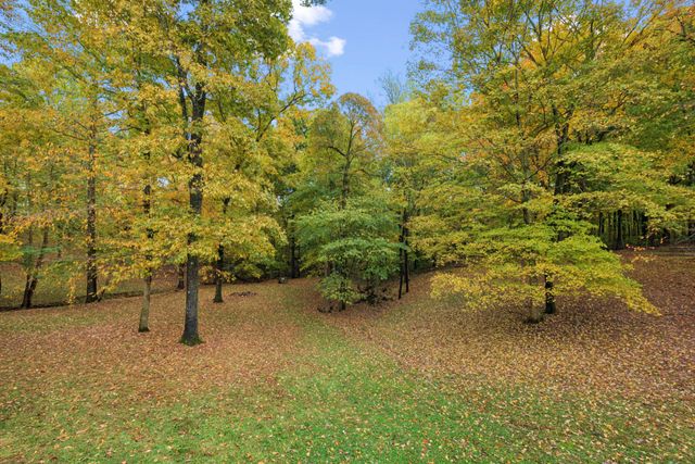 1036 Cherry Springs Dr, Cottontown, TN 37048