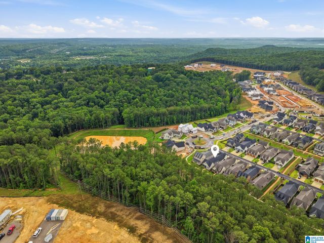 4090 ADRIAN STREET, Hoover, AL 35244