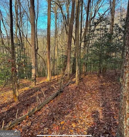 0 Cavender Creek Road, Dahlonega, GA 30533