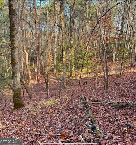 0 Cavender Creek Road, Dahlonega, GA 30533