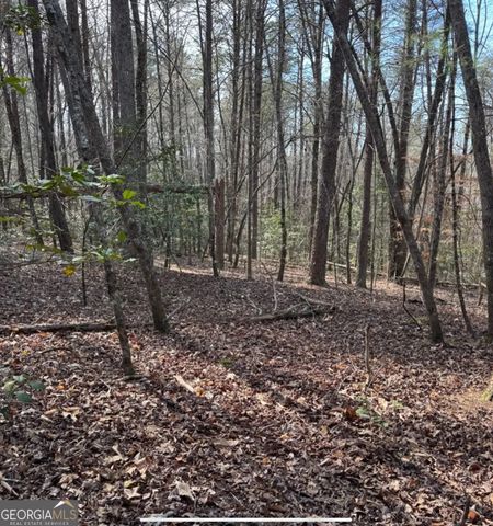0 Cavender Creek Road, Dahlonega, GA 30533
