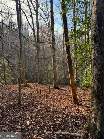 0 Cavender Creek Road, Dahlonega, GA 30533
