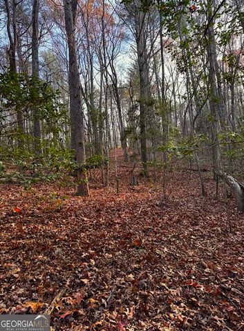 0 Cavender Creek Road, Dahlonega, GA 30533