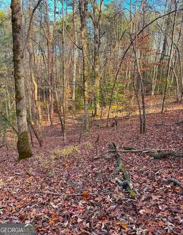 0 Cavender Creek Road, Dahlonega, GA 30533