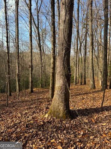 0 Cavender Creek Road, Dahlonega, GA 30533