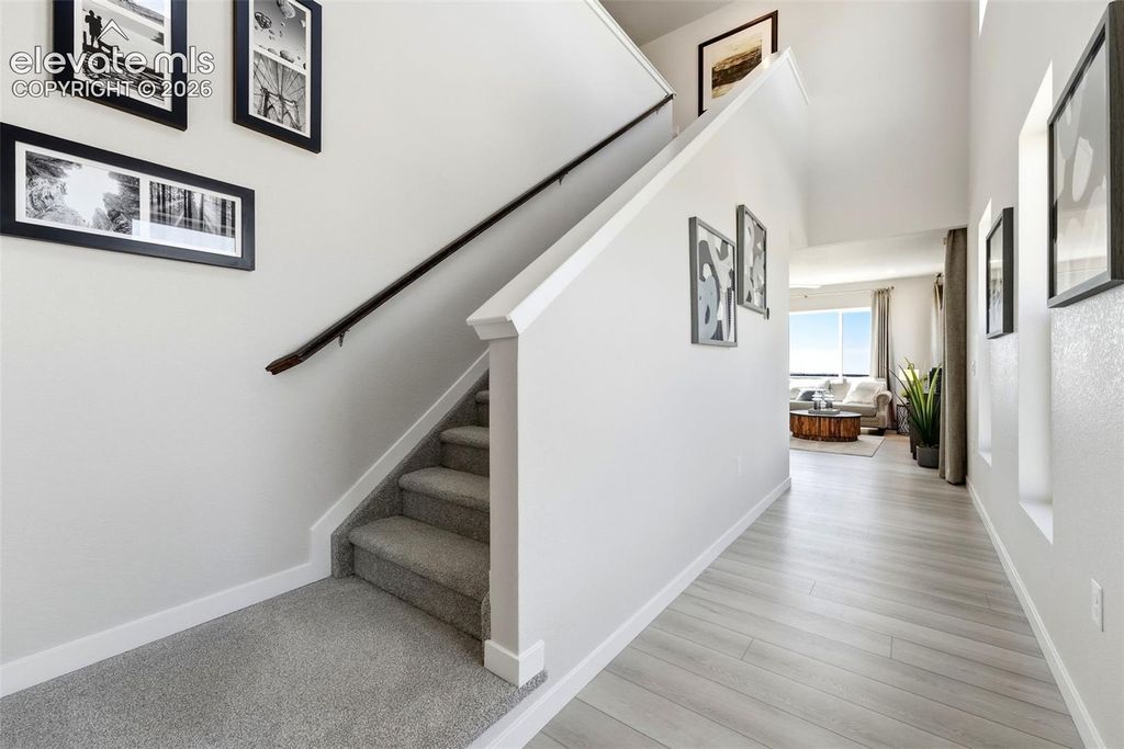 6899 Knapp Drive, Colorado Springs, CO 80924 — photo 4