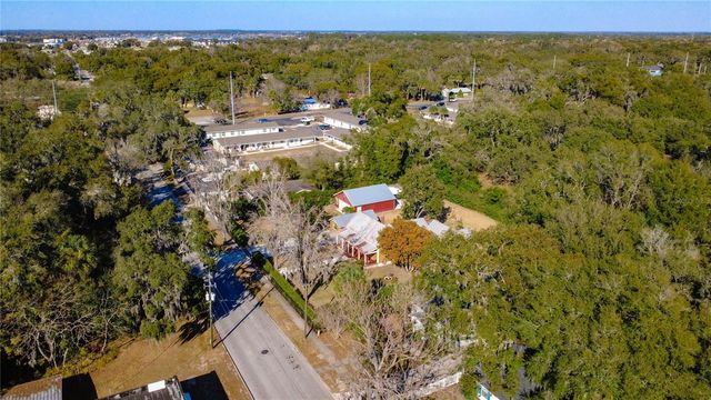 1148 N GRANDVIEW STREET, Mount Dora, FL 32757