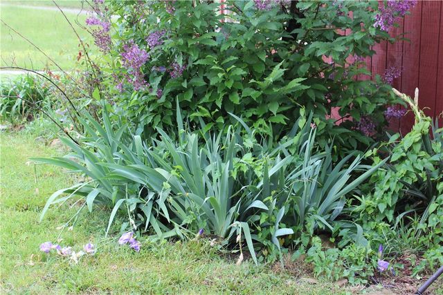 419 Washington Pike, Independence, PA 15312