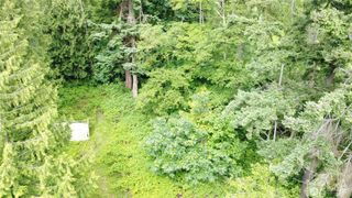 99 A Port Susan Drive, Hat Island, WA 98206