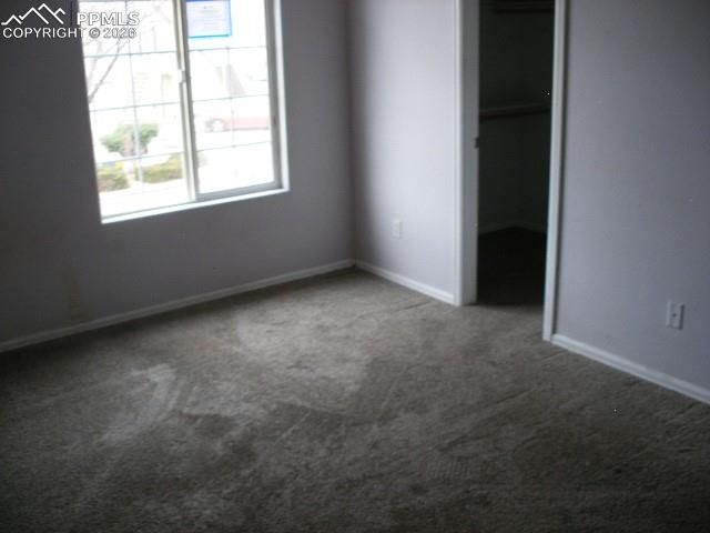 303 Ellers Grove, Colorado Springs, CO 80916