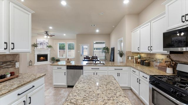 3722 Daintree Park Court, Katy, TX 77494