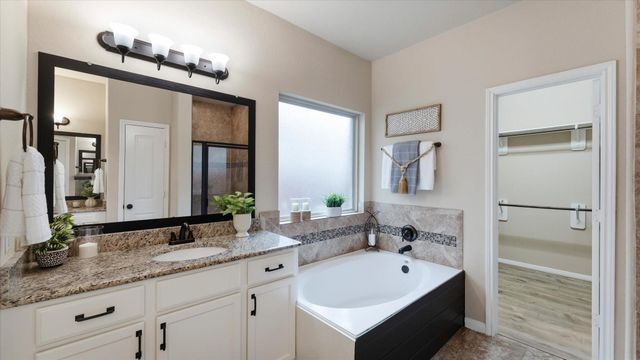 3722 Daintree Park Court, Katy, TX 77494