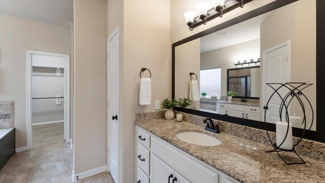 3722 Daintree Park Court, Katy, TX 77494