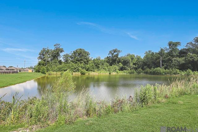1310 Point Andrew Dr, Gonzales, LA 70737