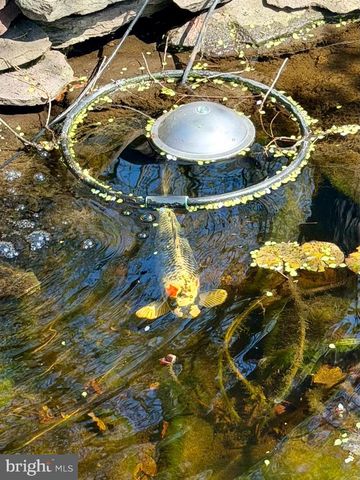 1921 WARE RD, Falls Church, VA 22043