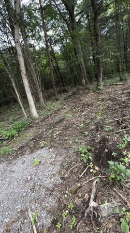 6468 Arno College Grove Rd, College Grove, TN 37046