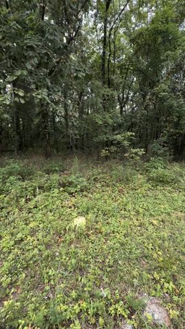 6468 Arno College Grove Rd, College Grove, TN 37046