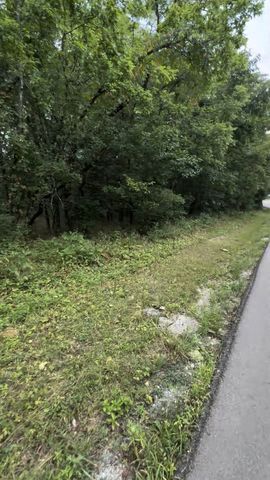 6468 Arno College Grove Rd, College Grove, TN 37046