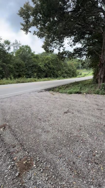 6468 Arno College Grove Rd, College Grove, TN 37046