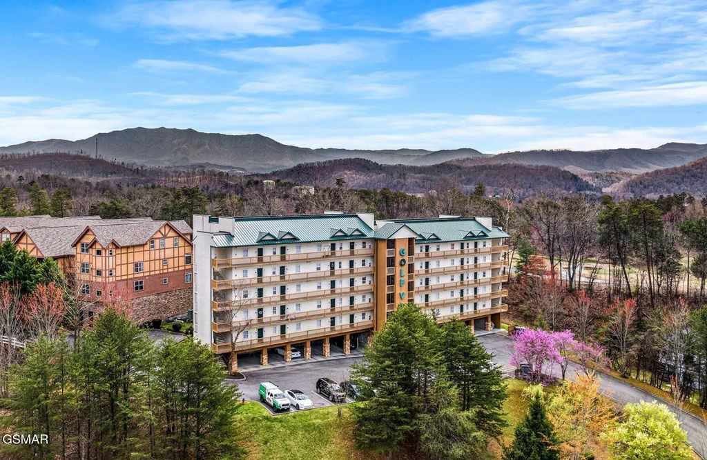 820 Golf View Blvd Unit 2202, Pigeon Forge, TN 37863