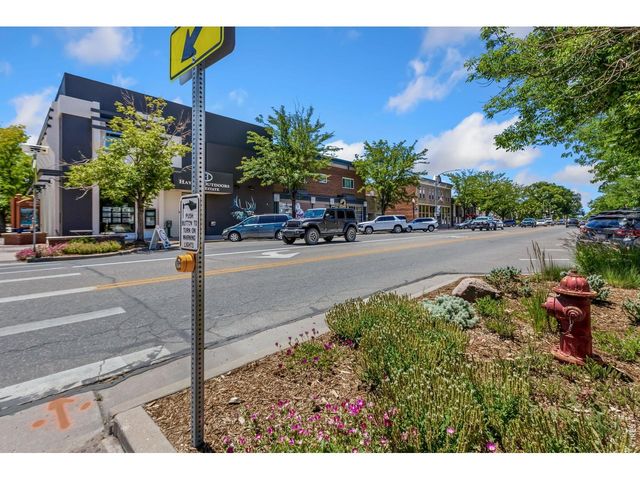 711 3rd St F1, Windsor, CO 80550