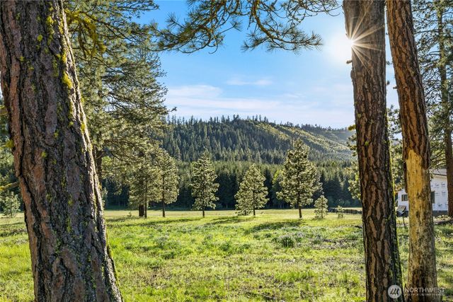 20 Domerie Park Loop, Cle Elum, WA 98922