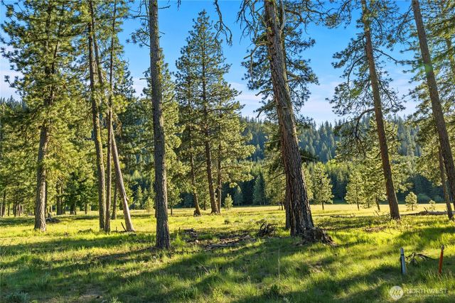 20 Domerie Park Loop, Cle Elum, WA 98922