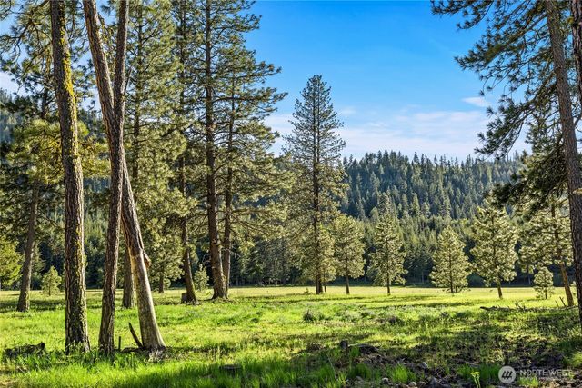 20 Domerie Park Loop, Cle Elum, WA 98922