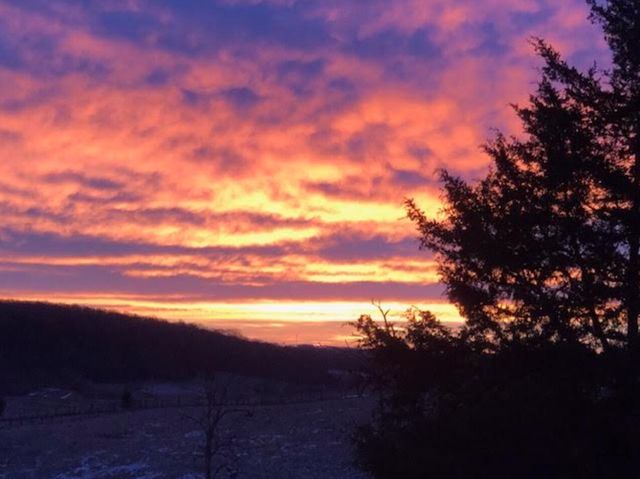 1028 Pin Oak Drive, Frankfort, KY 40601