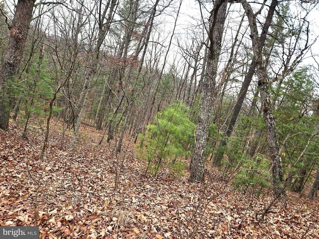 LOT 35 OAK HILL RD, Berkeley Springs, WV 25411
