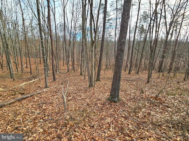 LOT 35 OAK HILL RD, Berkeley Springs, WV 25411