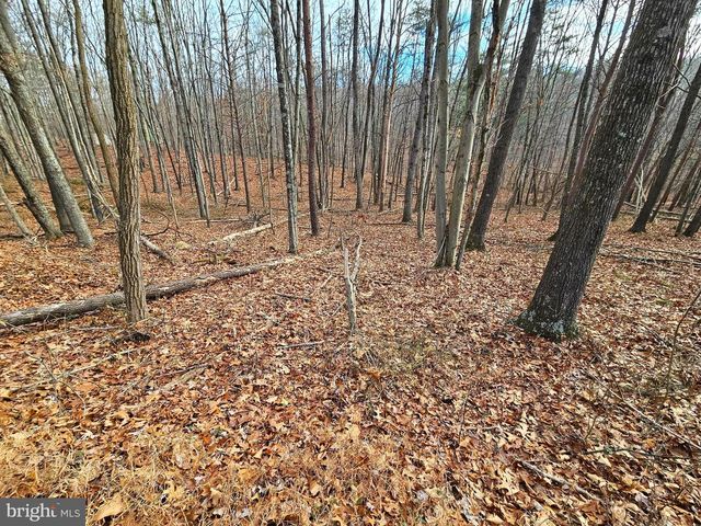 LOT 35 OAK HILL RD, Berkeley Springs, WV 25411