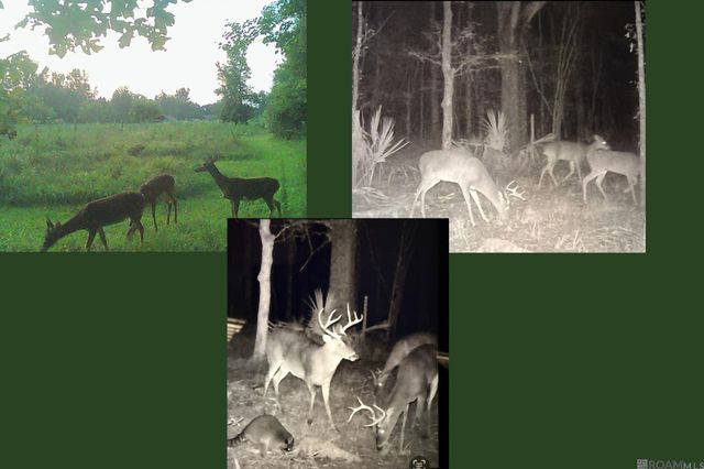 8110 Main St, Zachary, LA 70791